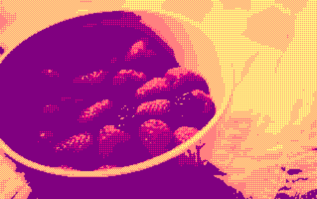 Photo of a bowl of raspberries converted to Amstrad CPC format by ImgToCpc option dithering with affinity